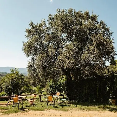 Glicinias En El Campo Hébergement de vacances Tordera