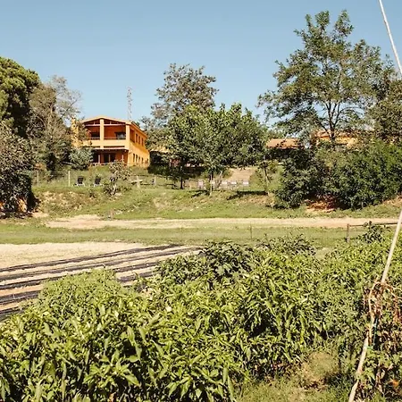 Glicinias En El Campo * Tordera