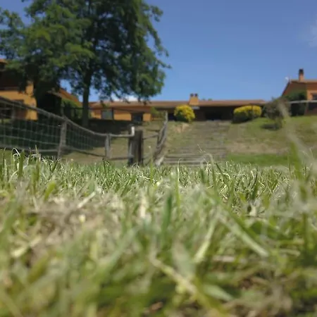 Glicinias En El Campo * Tordera